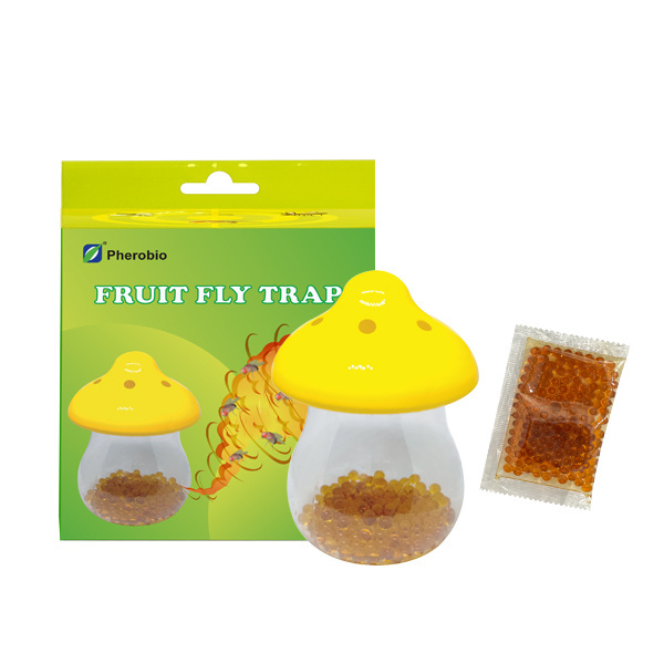 Indoor and outdoor use fruit fly trap with pheromone bait