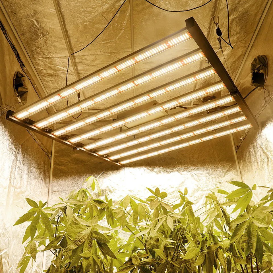 PHLIZON Foldable Design 640W Full Spectrum for Indoor Greenhouse grow room plants grow led light Get Free glasses