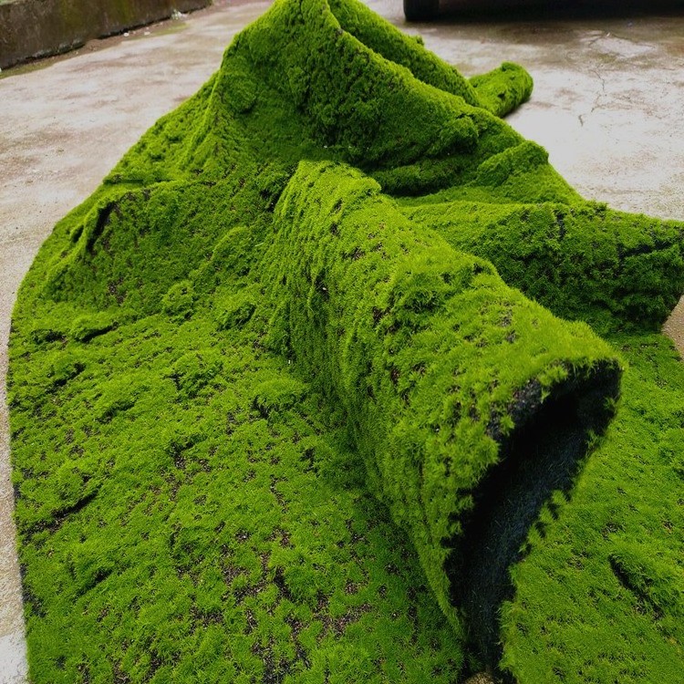 Factory Artificial Moss Green Emulational Lawn Background Wall Window Green Plant Art Decoration Artificial Fake Moss Panels