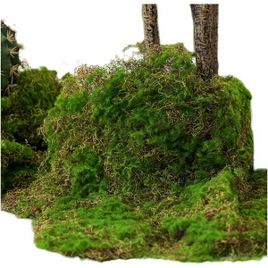 New Design Landscaping Decoration Artificial Moss Plant Panels 3D Art Artificial Moss Grass Carpet For Sale