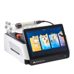 Dogs Class 4 Pain Relief Veterinary Laser Therapy