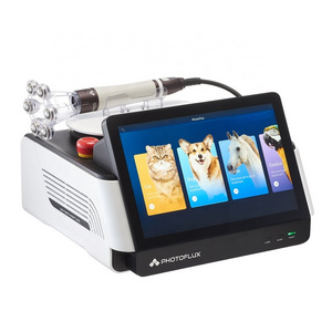 Laser Treatment For Dogs Class 4 Pain Relief Veterinary Laser Therapy