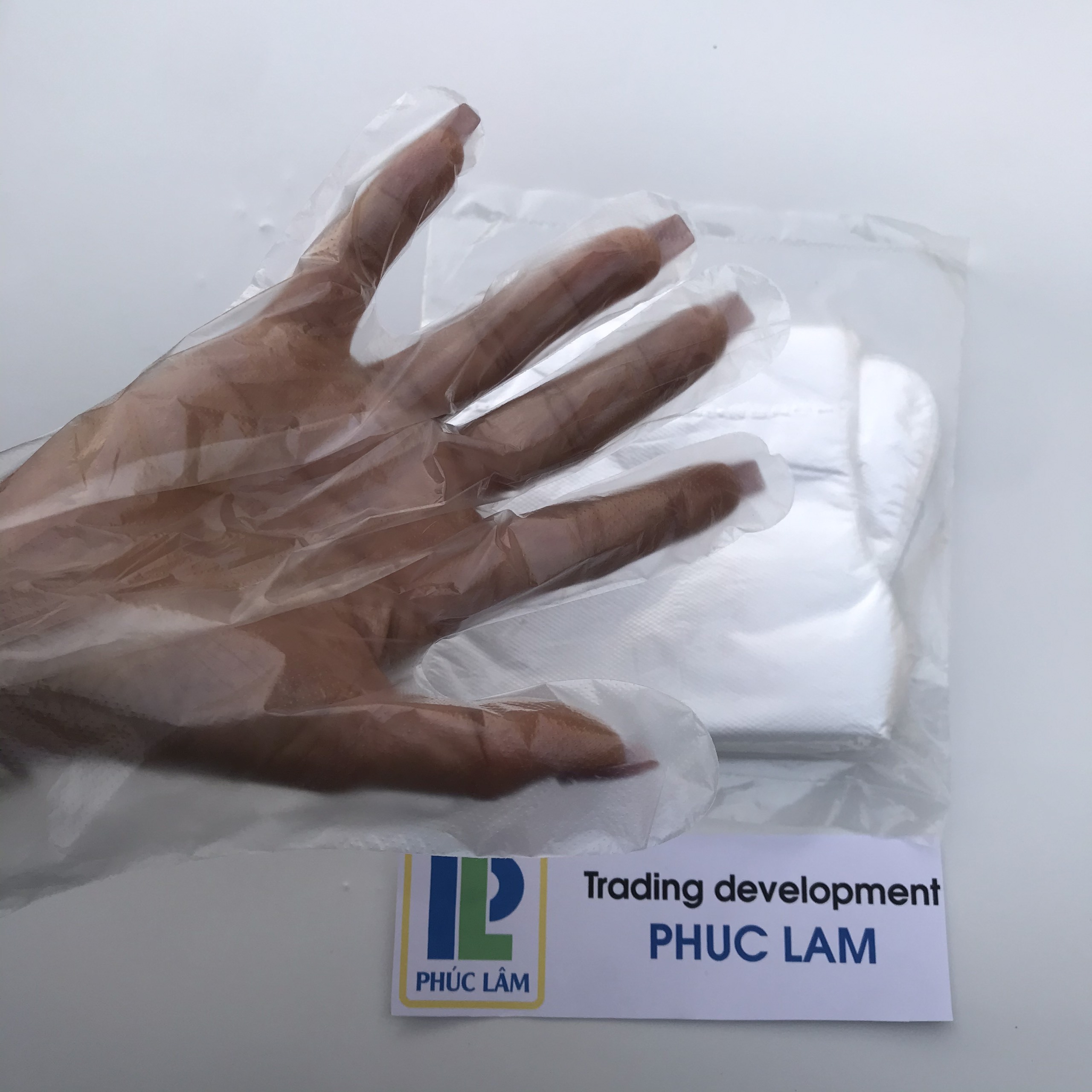 Best price OEM disposable plastic poly gloves PE household gloves made in Vietnam