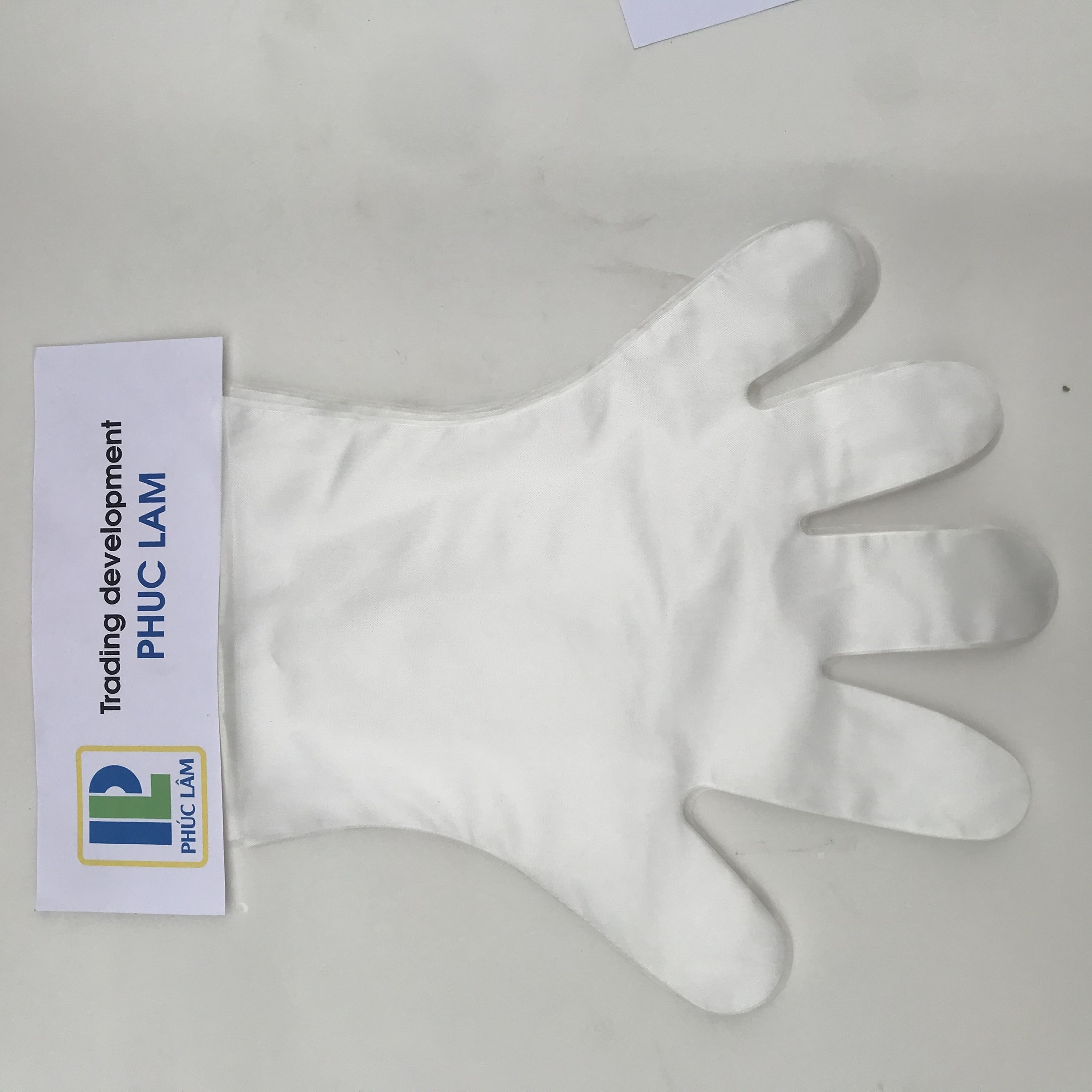 CPE/TPE Gloves High Quality Transparent Custom Household Daily Use Healthy Food Cleaning Disposable Gloves