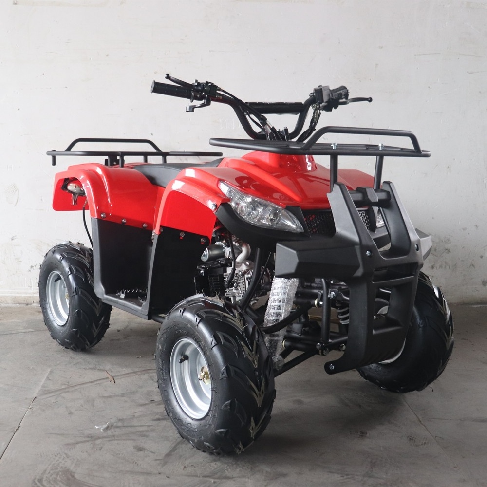 Mini Atv Bike Phyesmoto China Cheap High Quality Automatic with Reverse 125cc 110cc Kids Motorcycle 125 Cc 125 Engine 125 Moto