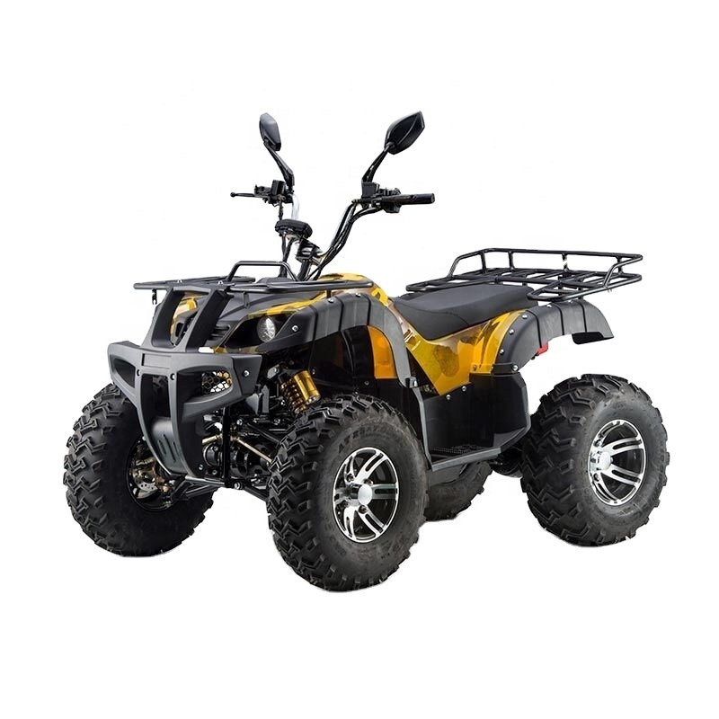 phyesmoto  2wd or 4wd 60v 4000w 4x4 Adult electric atv