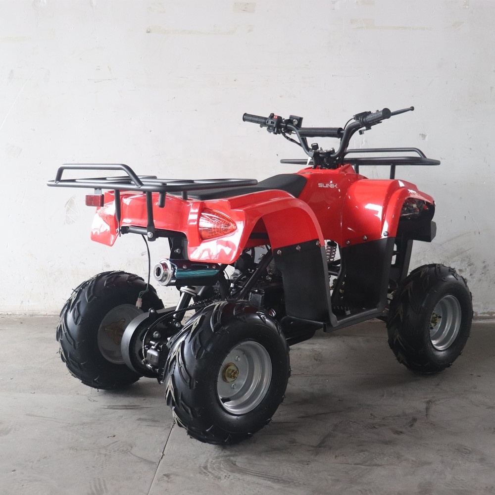 Mini Atv Bike Phyesmoto China Cheap High Quality Automatic with Reverse 125cc 110cc Kids Motorcycle 125 Cc 125 Engine 125 Moto