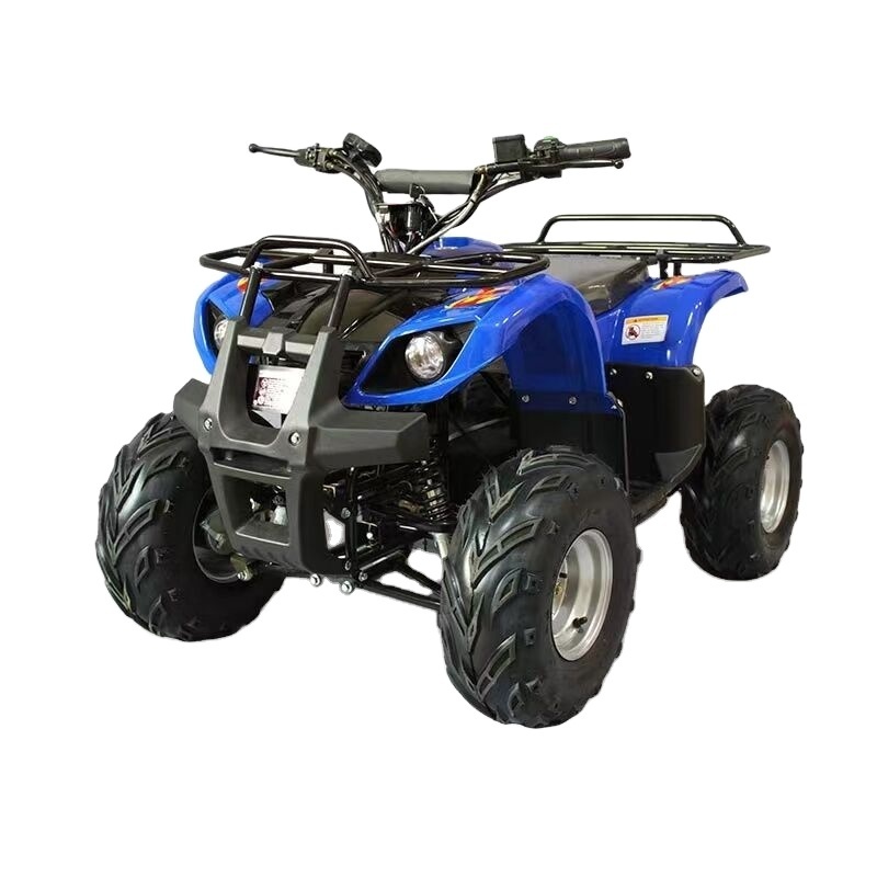 PHYES Adults 60v 1500w electric quad