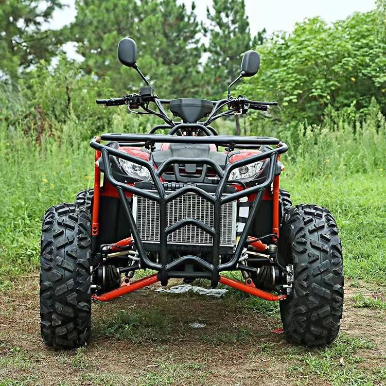 Phyesmoto 250cc Atv Quad Bike for Adults 10 12V Hydraulic Spring with Air Bag Black Red Green Blue CDI Electric Start Manual 300