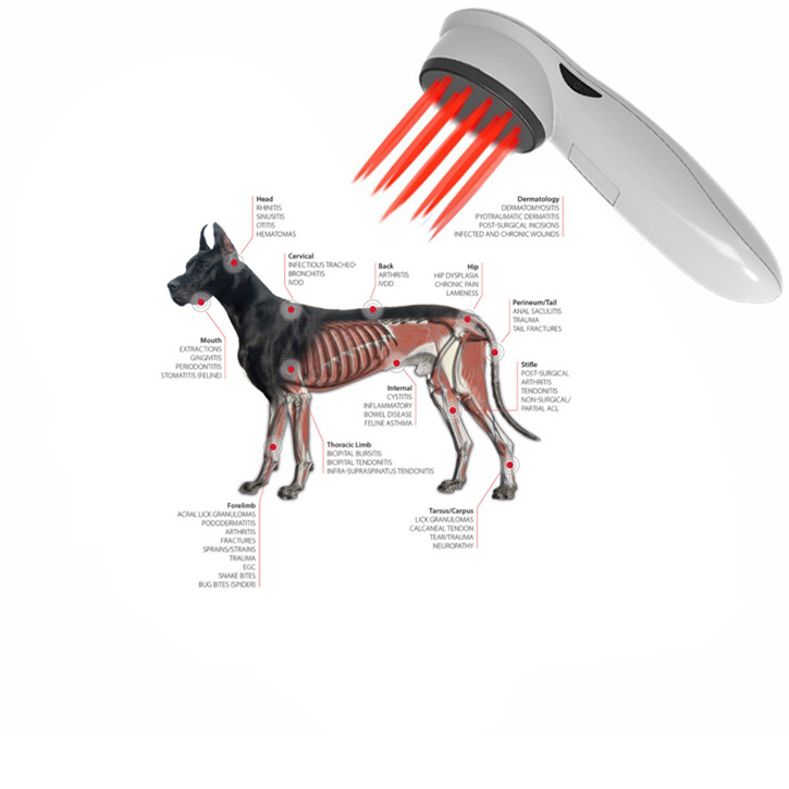 Cold Laser Therapy Vet Device for Pets  Red Light Therapy Devices for Pain Relief Home Light Therapy for Dogs Cats Horses