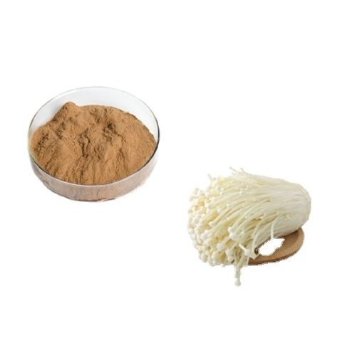 Best Price High quality  Free Sample Enoki Mushroom Extract Powder on sale