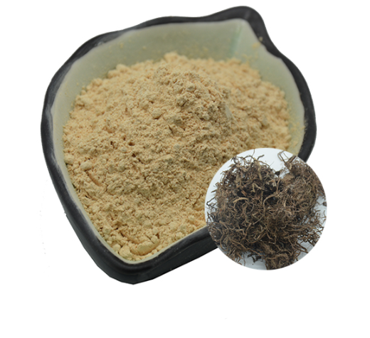 Best Price High quality  Free Sample Cyanotis arachnoidea Extract Powder on sale