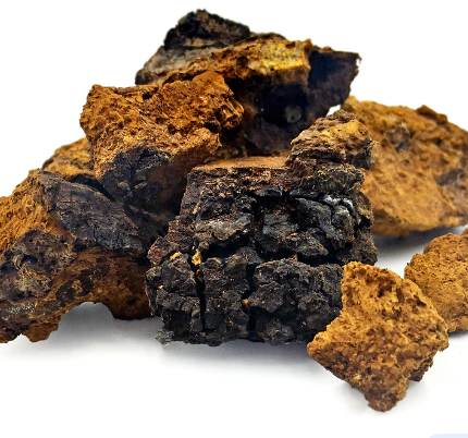 Best Quality Factory Supply Bulk dried chaga mushroom hot sale dried chaga mushroom for daily diet