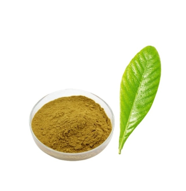 Free Sample Loquat Leaf Extract Best Price High Quality Loquat Leaf Extract Powder