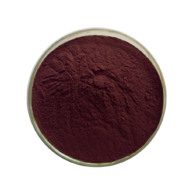 Factory Direct Supply Aronia Berry Extract Natural Aronia Chokeberry Powder For Export