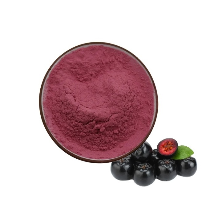 Factory Direct Supply Aronia Berry Extract Natural Aronia Chokeberry Powder For Export