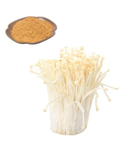 Best Price High quality  Free Sample Enoki Mushroom Extract Powder on sale