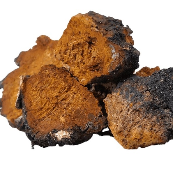 Best Quality Factory Supply Bulk dried chaga mushroom hot sale dried chaga mushroom for daily diet