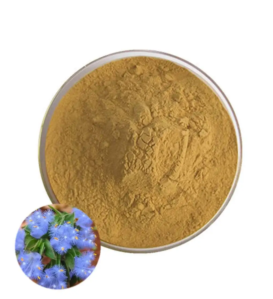 Best Price High quality  Free Sample Cyanotis arachnoidea Extract Powder on sale