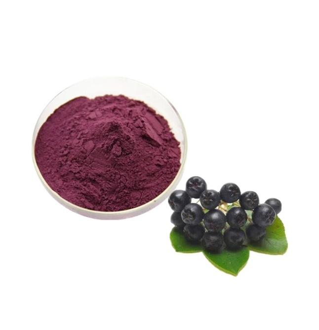 Factory Direct Supply Aronia Berry Extract Natural Aronia Chokeberry Powder For Export