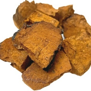 Best Quality Factory Supply Bulk dried chaga mushroom hot sale dried chaga mushroom for daily diet