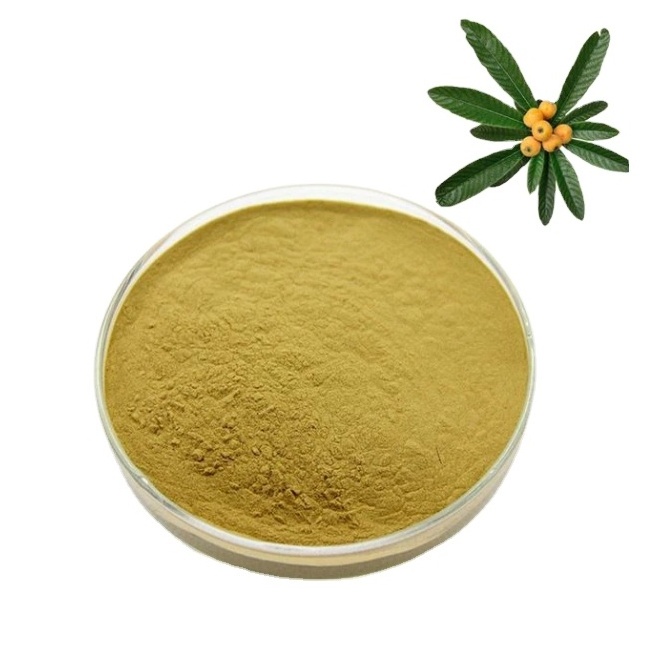 Free Sample Loquat Leaf Extract Best Price High Quality Loquat Leaf Extract Powder