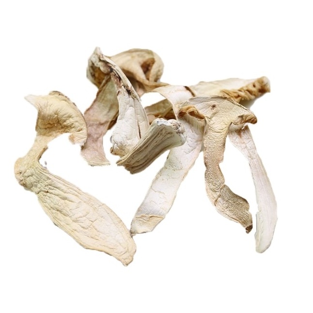 Newest Dried Export Tricholoma matsutake Wild Mushroom Made in China