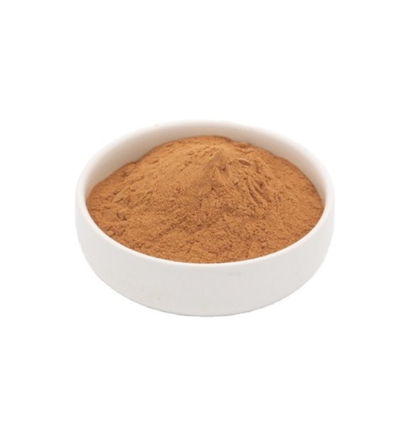 Best Price High quality  Free Sample Enoki Mushroom Extract Powder on sale