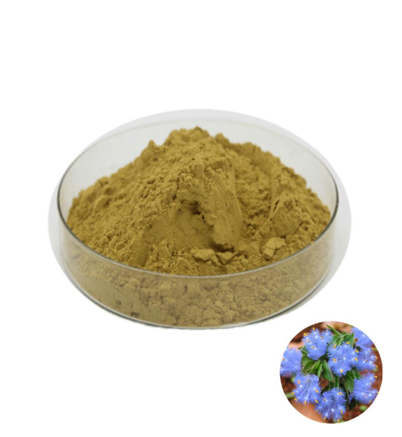 Best Price High quality  Free Sample Cyanotis arachnoidea Extract Powder on sale