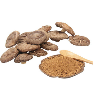 Lentinan raw material powder Shiitake Extract Powder