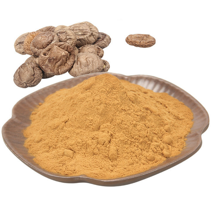 Lentinan raw material powder Shiitake Extract Powder