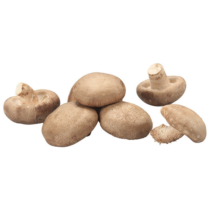 Lentinan raw material powder Shiitake Extract Powder