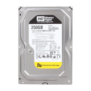 RE3 Enterprise 250 GB 3.5-Inch, 16 MB Cache, 7200 RPM SATA II Bulk/OEM Hard Drive WD2502ABYS