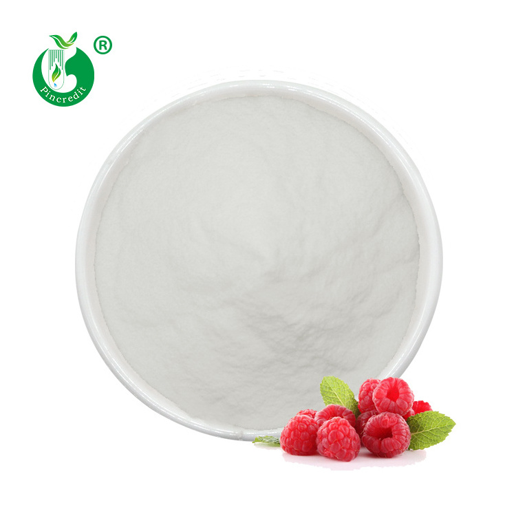 Wholesale Healthcare Supplement Natural Organic Raspberry Ketones Extract Powder