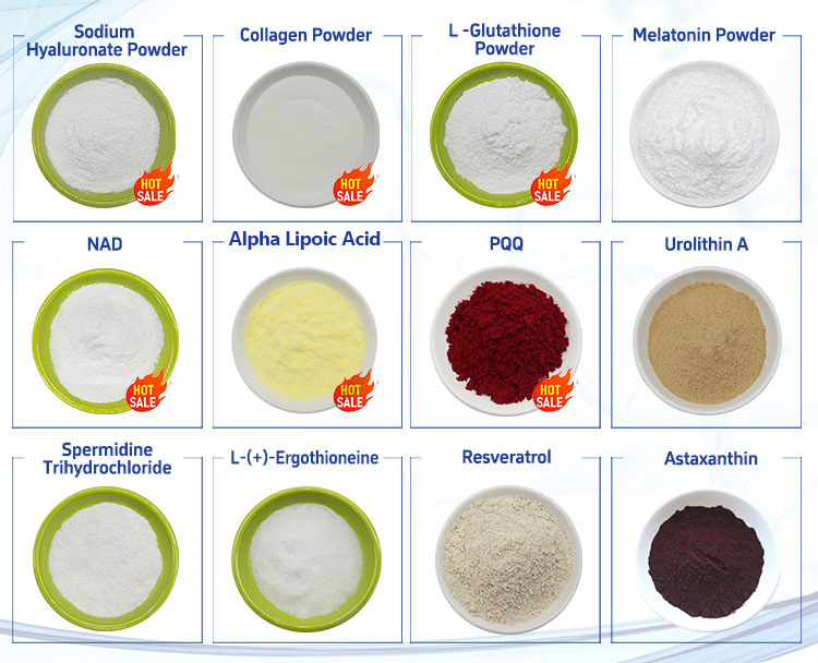 Manufacturers Wholesale CAS 778571-57-6 High Quality 99% Bulk Magnesium L-threonate Powder