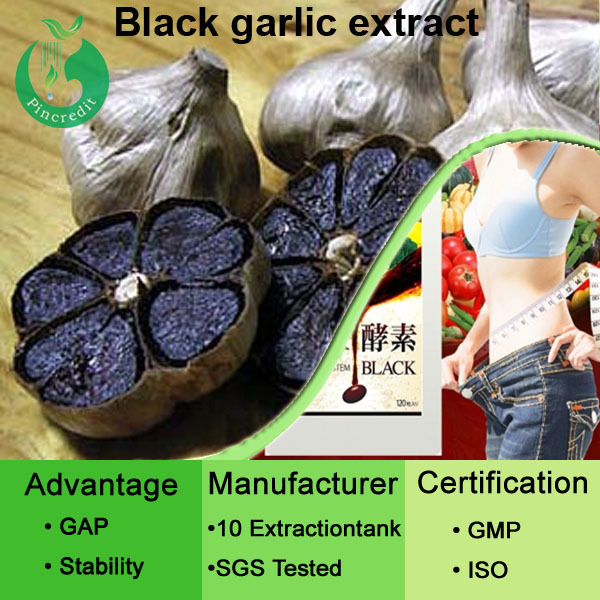 Top Grade Black Garlic Extract/Garlic Powder/Black Garlic Extract Powder