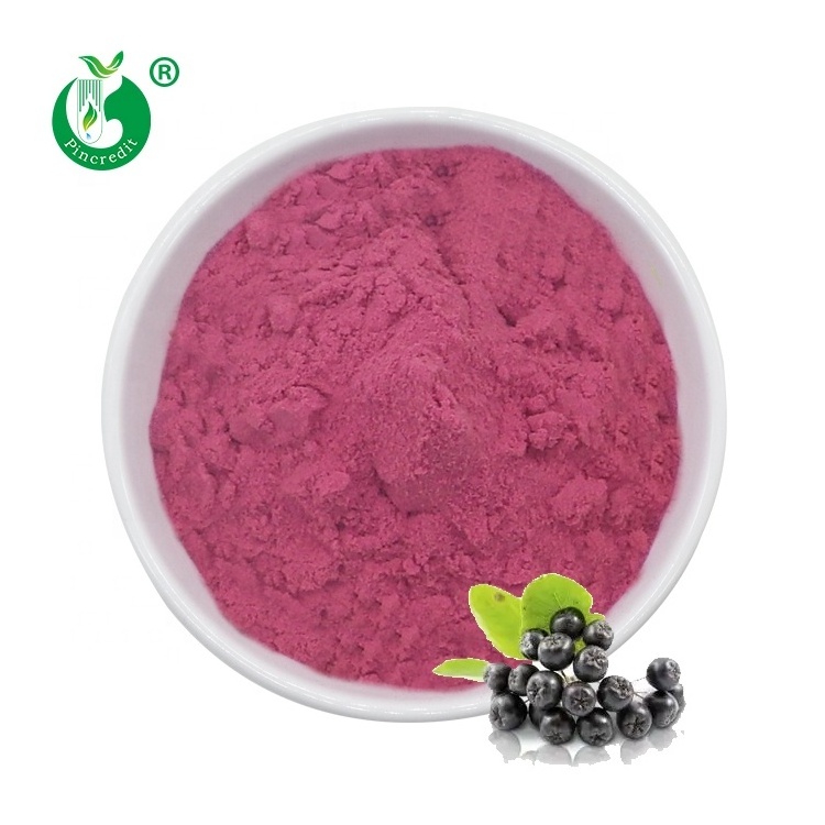 Wholesale Natural Bulk Aronia Berry Juice Concentrate Powder