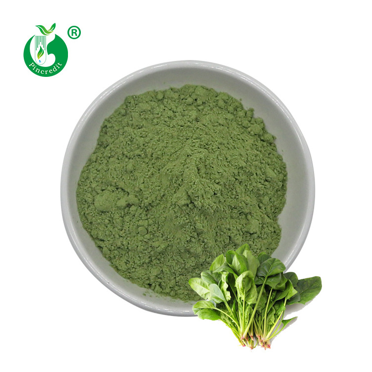 100% Pure Organic Dehydrated Dried Green Spinach Powder