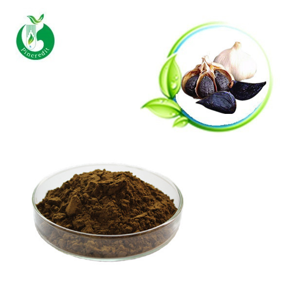 Top Grade Black Garlic Extract/Garlic Powder/Black Garlic Extract Powder