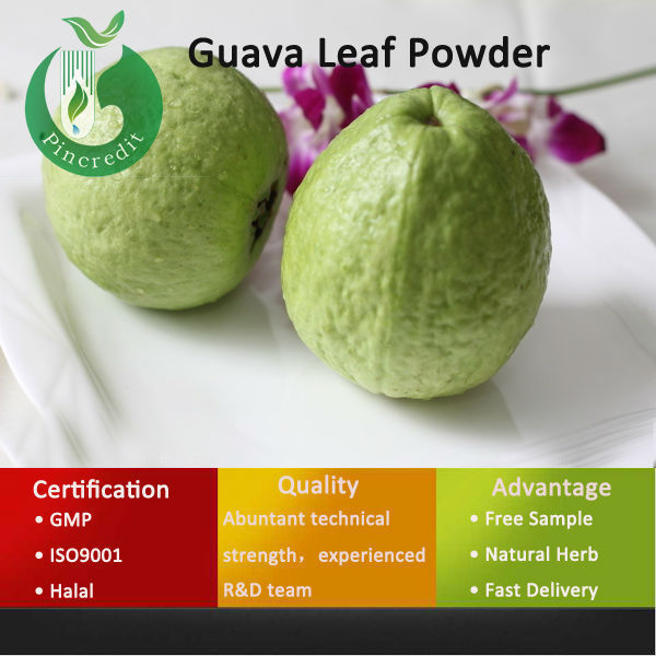 Supplier Best Price Natural Guava Juice Powder