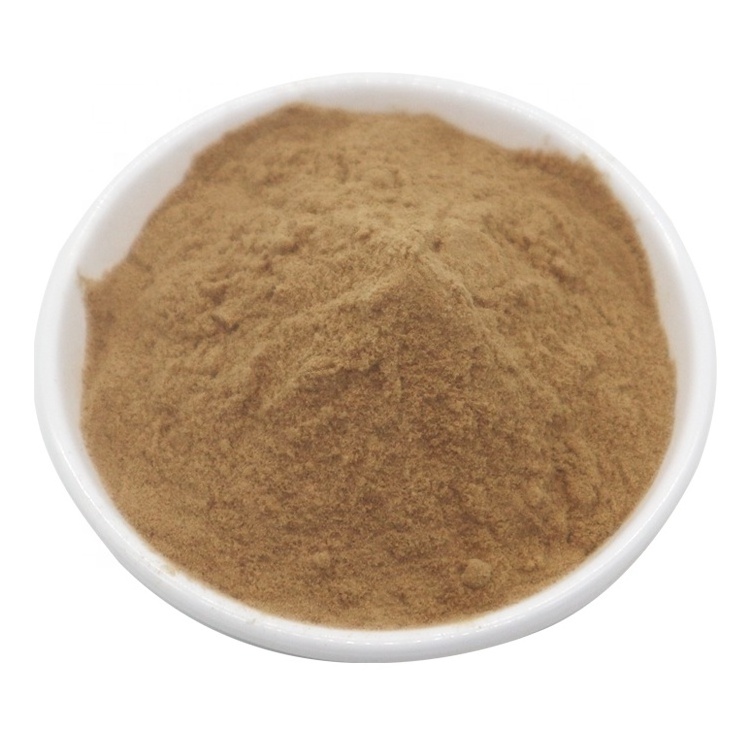 Pincredit Supply Best Price Natural Organic Shiitake Mushroom Extract Powder