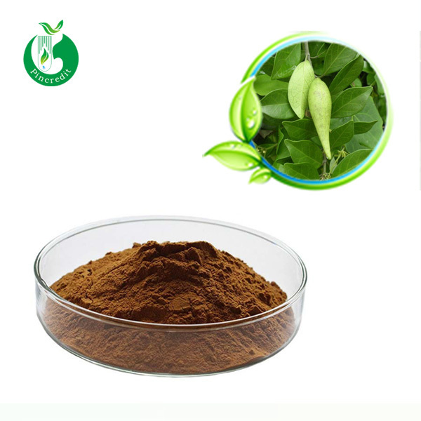 Gymnema Sylvestre Leaf Extract Gymnemic Acid