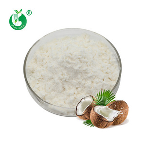 Wholesale Price Organic Bulk Coconut Milk Powder, Coconut Cream Powder