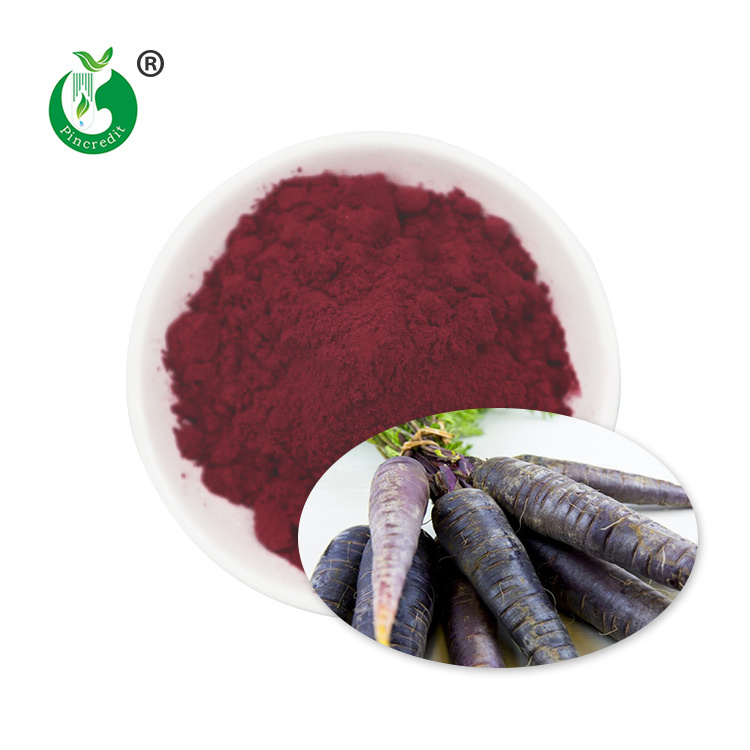 Natural Purple Black Carrot Powder Black Carrot Juice Concentrate Powder