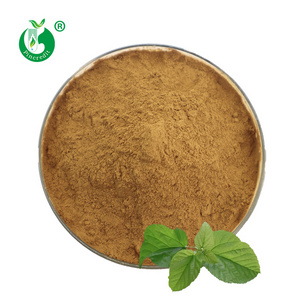 Natural White Mulberry Leaf Extract Powder