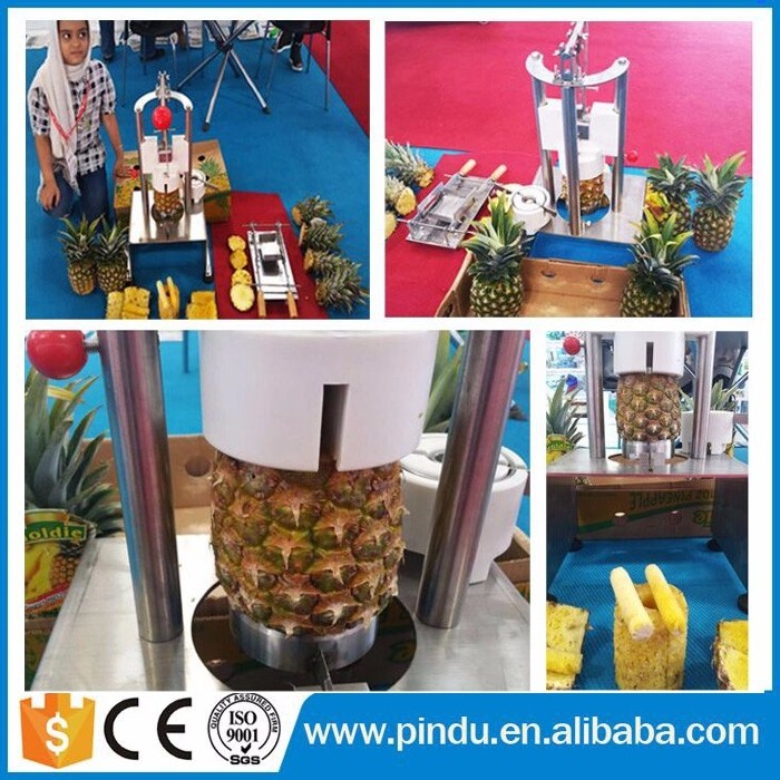 pineapple corer slicer peeler peeling machine in malaysia