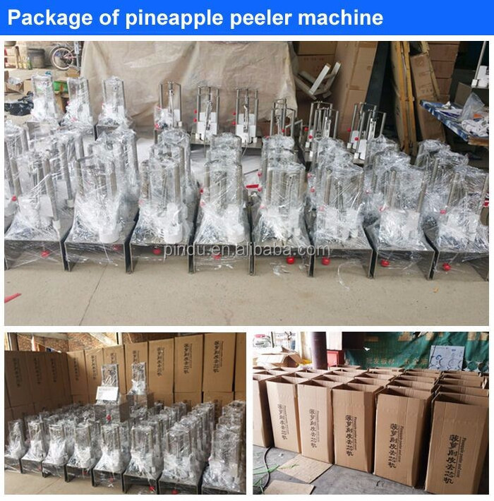 pineapple corer slicer peeler peeling machine in malaysia