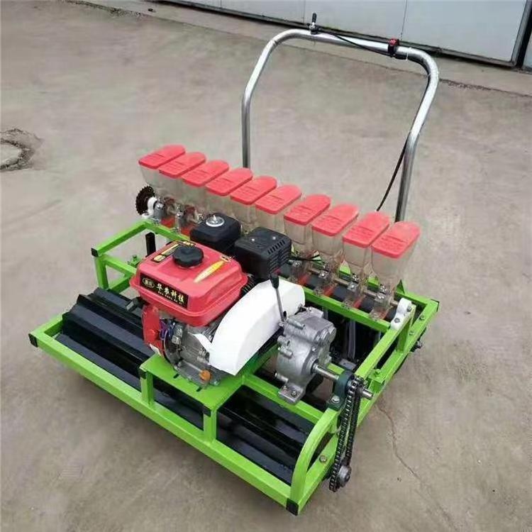 Good Quality Manual carrot seed planter seeder planting machine onion planter jang seed planter