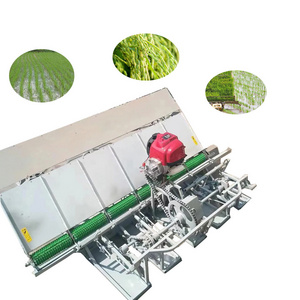 Farm use paddy rice transplanting machine for 6 rows /4 rows rice transplanter/rice planting machine