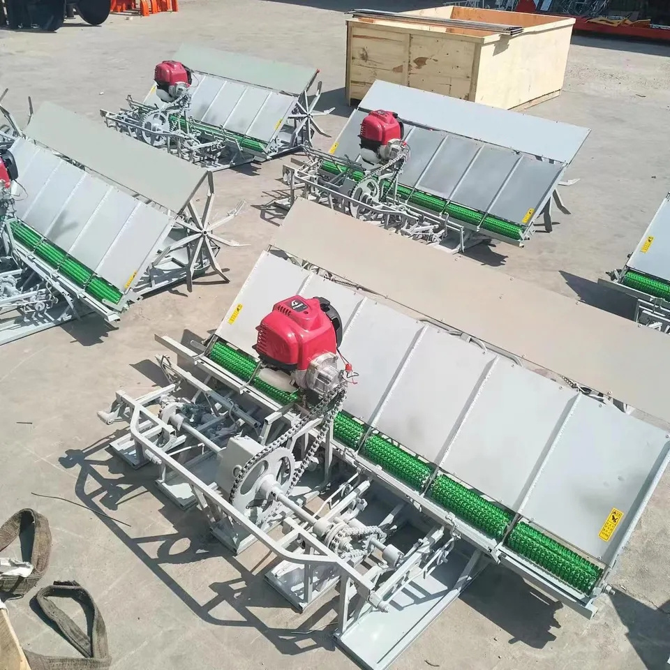 Farm use paddy rice transplanting machine for 6 rows /4 rows rice transplanter/rice planting machine